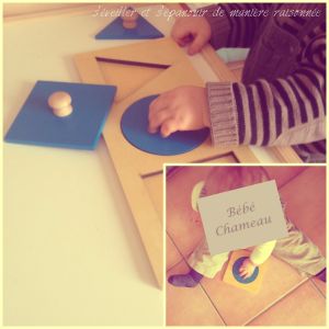 11. Encastrements : les puzzles à formes uniques
