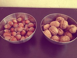 12. Oléagineux : Noix et Noisettes