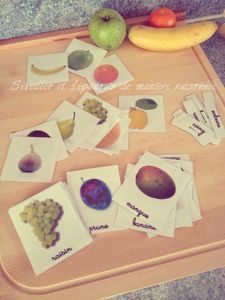 Activité autour des fruits d'automne