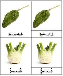Activité autour des légumes d'automne (cartes de nomenclatures)