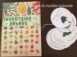 En forêt : reconnaître les arbres d'après leurs feuilles