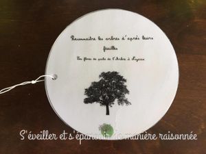 En forêt : reconnaître les arbres d'après leurs feuilles