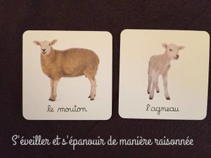 Des imagiers photos