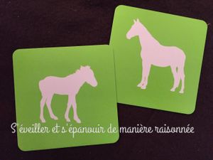 Des imagiers photos