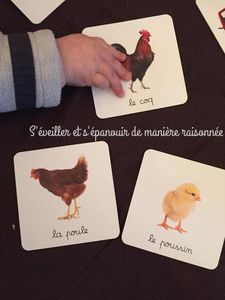 Des imagiers photos