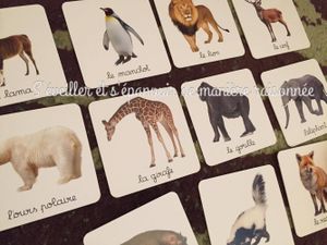 Des imagiers photos