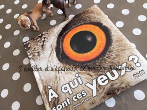 A qui sont ces yeux ? (de Stephane Frattini), le livre coup de coeur de Grand Frère