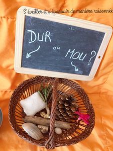 Activité d'exploration de qualités tactiles : Dur ou Mou ?