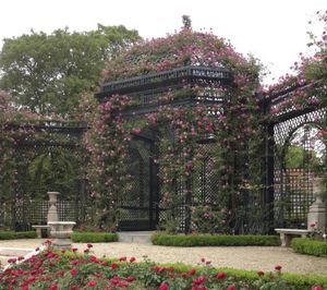 Roseraie de l'Haÿ les Roses