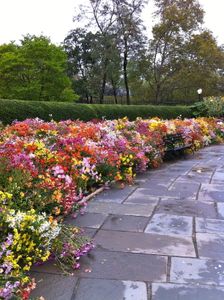 The Conservatory - Central Park - New York