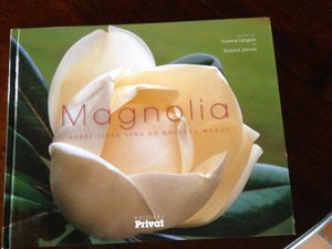 Les Magnolias - Jardinage à Frescati