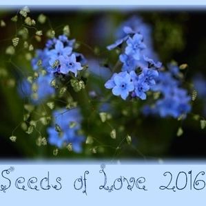 Merci aux Seedlovers - Elodie du Lot