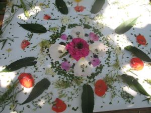 Le grand tour de mon jardin - Open Gardens
