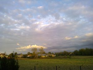 Sous les cieux palois -