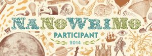 NaNoWriMo 2014 : Bilan