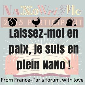 NaNoWriMo 2015 : 23ème jour