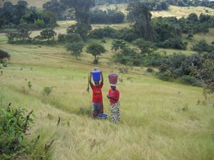 Rendez-vous en "terre mal connue" : le Fouta Djalon