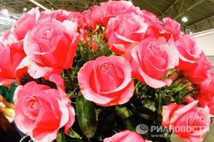 Roses, tulipes, jacinthes...les préférées des moscovites