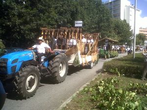 Le Cortejo do Linho, 6 septembre 2015
