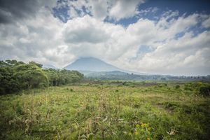 LE PARC DE VIRUNGA N'EST PAS A VENDRE, PAROLE DU MP DE LA DIASPORA CONGOLAISE BIENVENU MASSAMBA !