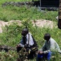 La persistance des conflits armés à l’Est de la RDC due aux trafics de ressources naturelles