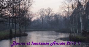 Fin d'année 2014 - Vive 2015 !!