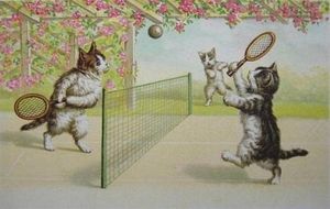 Le chat qui aimait le tennis