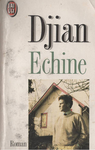 • Longtemps, je me suis défié de Djian…