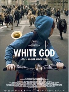 • White God : l'apesanteur et la grâce