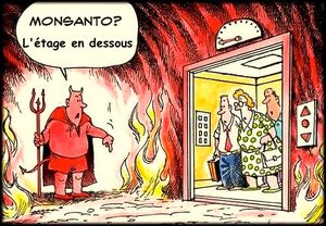 À propos des dérives par facilité du principe de précaution