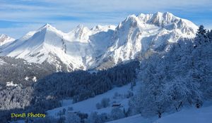Voici le printemps, alors un petit bilan de l'Hiver