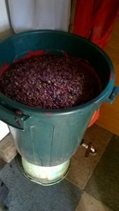 La cuvée du "vin des jardins"