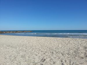 Sortie Surfcasting - 04/05/2014