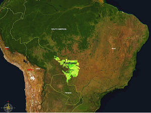 La traversée du Pantanal - Sud-ouest Brésil - février 2016