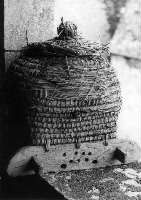 Photo de Claude Fils ,tirée de l'Encyclopédie