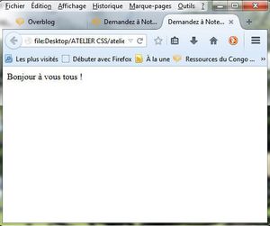 Atelier 2 (suite): Rendu visuel sous Firefox