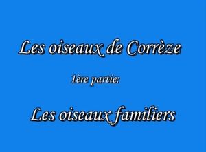 Les oiseaux de Corrèze#1