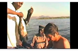 Le fleuve Congo, Zaïre, épisode #10
