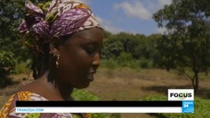 Déforestation et désertification progressent