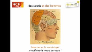 Internet et le numérique modifient-ils notre cerveau ?