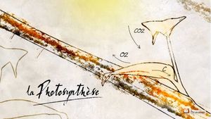 La photosynthèse