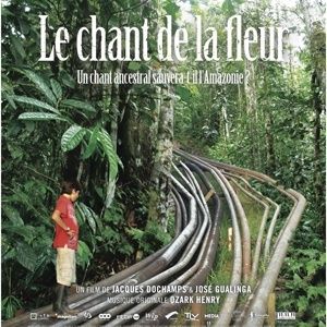 5 femmes de Sarayaku à Fontenoille: quelle belle expérience (novembre 2015)