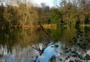 26 novembre 2016 - Le Marais (La Lichette)