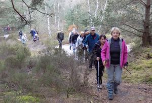 01 décembre 2015 - Grands Longs Vaux