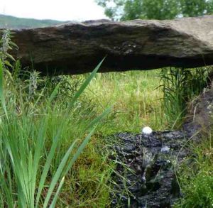 Balle (Druids Glen, Irlande 2013)