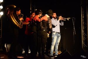 Festival Les Herbes Folles .Vendredi 6 Samedi 7 et dimanche 8 mai 2016 à Fecamp