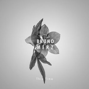 Découverte : Bruno Merz