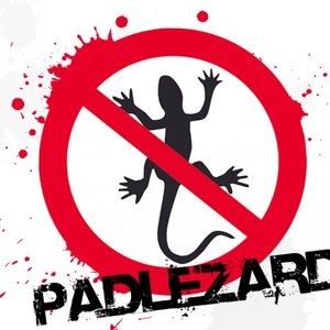 Pad Lézard