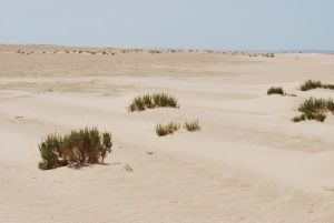 La frontière européenne n’est plus de fortins mais d’outils performants qui observent de loin les envahisseurs pour les maintenir hors limes