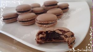 Macarons tout chocolat